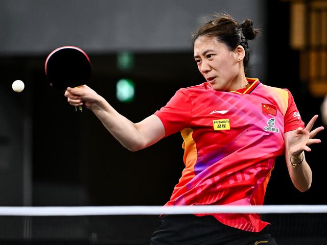 毛球界的明 毛球界的明