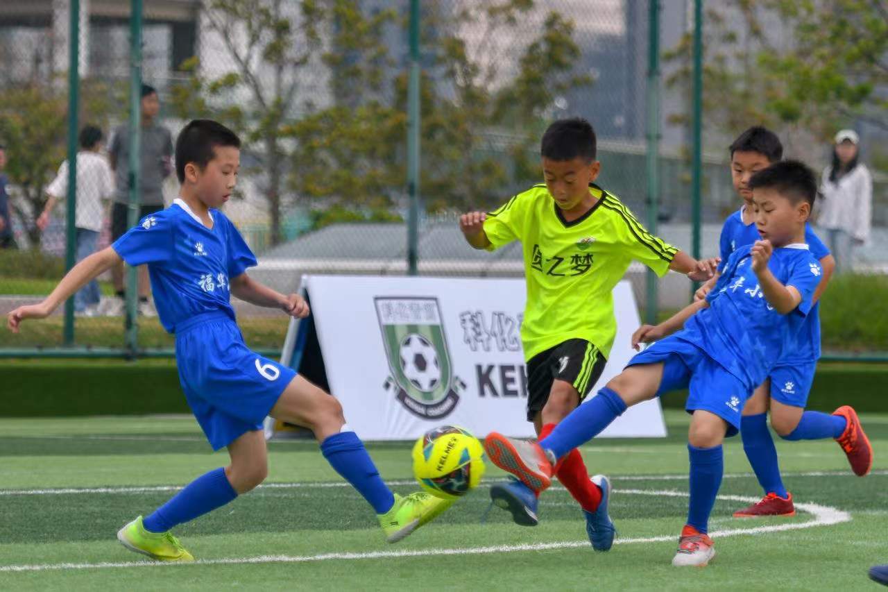 如何回应这 如何回应这